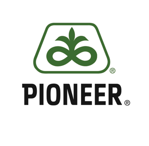 Image of Pioneer's logo.